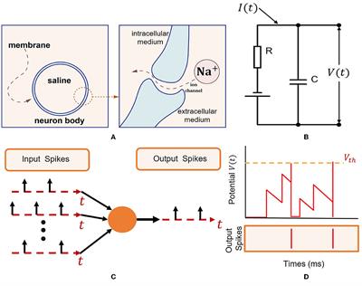 VTSNN: a virtual temporal spiking neural network